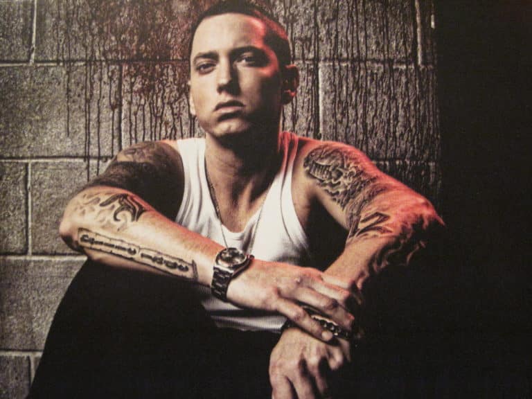 Vinyle Eminem
